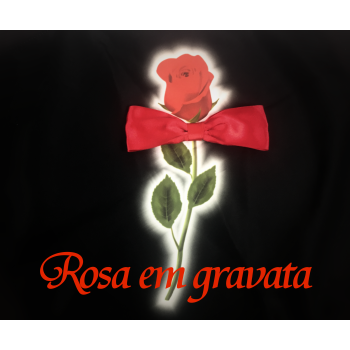 Rosa em Gravata