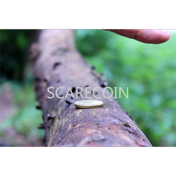 Scare Coin by Arnel Renegado - Video DOWNLOAD