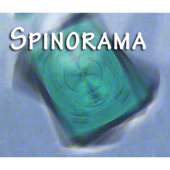 Spinorama by William Lee video DOWNLOAD